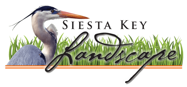 Siesta Key landscape Logo - Siesta Key - Sarasota Florida